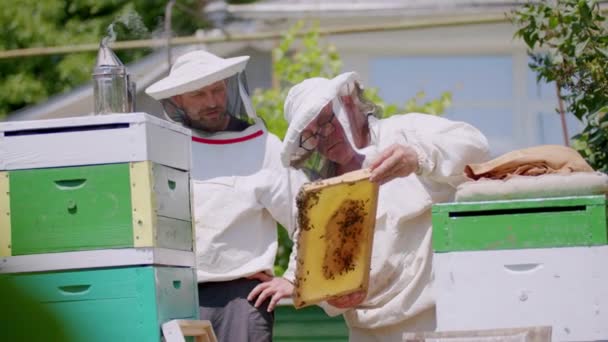 Rodzina Pszczelarzy Białej Odzieży Ochronnej Wyodrębnić Naturalny Miód Pszczół Dla — Wideo stockowe