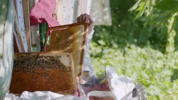 两个身穿白色防护外套的兄弟一起把蜂窝从蜂窝中取出来提取蜂蜜 卖给热爱蜂蜜的消费者 小企业的概念 故事的垂直视频 — 图库视频影像