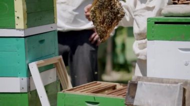 Arı kovanlarıyla ilgilenen arı kovanları arı kovanlarından bal çıkarma sürecinin karmaşıklığını sergiliyor. Arı kovanlarının polen salgılayan bitkilerdeki önemi, organik arı kovanlarının oluşumuna yol açıyor.