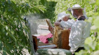 Arıcıların koruyucu giysileri arı kovanlarını, bal arılarını, arı yetiştiricilerini, lezzetli besleyici bal üreten arı oluşumunu ön plana çıkarıyor. Arıcılar organik sağlıklı yiyeceklere önem verirler