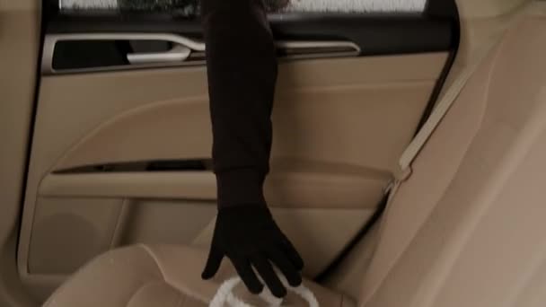 ガラスのシャードは 車の強盗の余波を描いた女性のハンドバッグのために手が届くように 窓が壊れた車の後部座席をカバーします — ストック動画