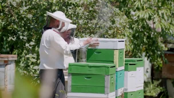 保護服を着た2人の養蜂家が 養蜂場で蜂蜜を収穫しています 蜂蜜のプロセスを楽しむ蜂蜜のアロマから慎重に甘い蜜を抽出する 空気仕事を熱心においしい蜂蜜を確保する — ストック動画