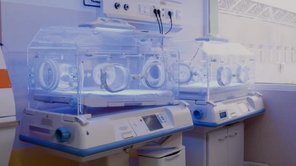 Dentro Incubadora Neonatal Los Recién Nacidos Prematuros Reciben Atención Para — Vídeos de Stock