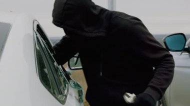 Loş aydınlatılmış bir araba hırsızı, kırık camları sökerken gizlice sırt çantasına el koyar. Her çalınan malla birlikte suçlular da büyüyor. Arkalarında kargaşa ve kayıp sahneleri bırakıyorlar.