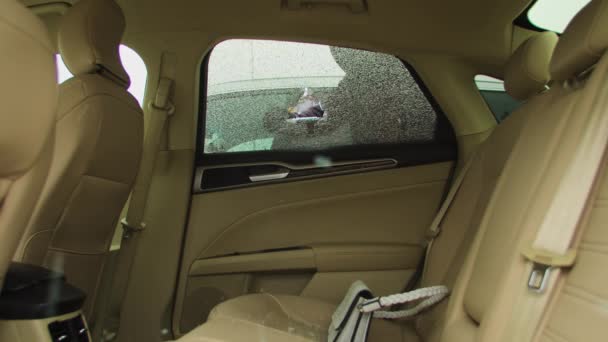 刑事車泥棒はバックシートから車の窓のスナッチバッグを壊します カージャッカーブレイクウィンドウガラスは すぐに盗まれた持ち物を取得する機会を奪います 車泥棒ブレイク車の窓ガラス — ストック動画