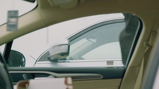 車泥棒が車の窓から 侵入するつもりだ 盗難の標的を評価する窓を通して彼の侵入を計画している車泥棒 — ストック動画