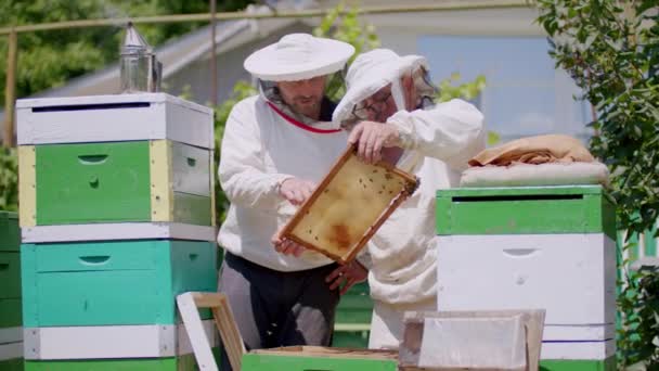 两个穿防护服的养蜂人在大自然中工作 从蜂窝中提取蜂蜜 在养蜂人的工作中 养蜂人小心翼翼地精确处理蜂窝 巧妙地提取甜蜜蜜 — 图库视频影像