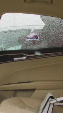 Hırsız, araba hırsızlığı, cam kırma ve kişisel eşyaları dikey olarak çalma suçu işledi. Araba hırsızlığının ciddi bir suç olduğunu gösteren suç eylemi, hırsızlar için acil polis müdahalesi gerektiriyor.