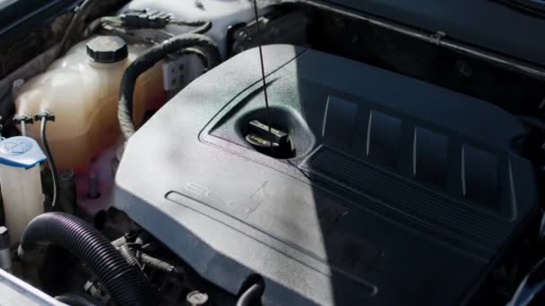 Mechanic Check Oil Level Quality Hood Ensuring Car Engine Runs Stock Footage