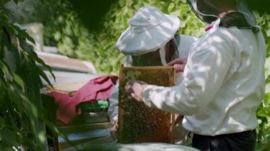 Huzurlu arı yetiştiricileri üniformaları, tarakların zamansız arı yetiştiriciliğinden ustalıkla bal topluyor. Apiary, doğayla insan ve arı yetiştiricileri arasındaki uyumlu birlikteliği temsil ediyor.