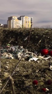 Apartman binalarının yanında, insanların attığı çöp yığınları. Çevre ve doğa kirliliği. Doğaya atılmış atıklar. Yetkisiz çöp. Ev atıklarıyla çevrenin tahrip edilmesi