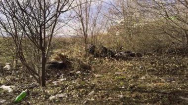 İnsanlar tarafından atılan çöpler. Ormana atılan plastik şişeler. Çürümüş çöp, plastik torbalar, araba lastikleri. Çevre kirliliği. Geri dönüşümsüz atık. Ekolojik felaket. Çevre kirliliği