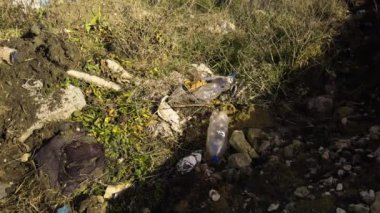 Turistler ve doğa sakinleri tarafından atılan plastik şişeler. Doğal kaynakları yok eden yeri doldurulamaz plastik atık. Çevre kirliliği. Flora ve Fauna 'nın yok edilmesi