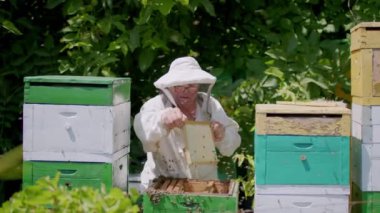 Koruyucu giysi uzmanı geniş kovan çerçevesini temizliyor. Arıcı, güneşli bir günde bal peteği yapısından gereksiz arıları temizlemek için fırça kullanır