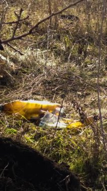 Ormanda dinlendikten sonra insanların bıraktığı çöp yığınları. Plastik şişeler, geri dönüşümsüz plastik poşetler doğaya atılmış. Plastiğin dikkatsizce atılması doğanın kirliliği sorunudur.