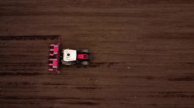 Çekici, kırmızı bitkiyi engin kahverengi alanda çeker ve toprakta paralel çizgiler yaratır. Uzun gölgeli bitkiler toprağa uzanıyor.