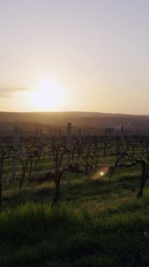 Kapalı bölge etrafındaki yol işaretleri çakıllarla ve uzak tepelerle çevrili toprak parçalarıyla dolu. Kapanış parlak güneşin altında duruyor.