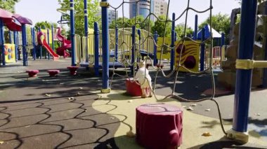 Tırmanma ekipmanları, slaytlar ve yeşilliklerle çevrili renkli oyun alanları ile hareketli oyun alanı, çocukların eğlenceli aktivitelere katılmaları için neşeli bir açık hava ortamı sağlıyor