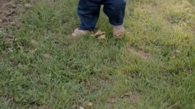 Bebek çimenli bir alanda yürümeye çalışır. Yetişkinlerin eline tutunur. Kararsız ama kararlı adımlar atar.