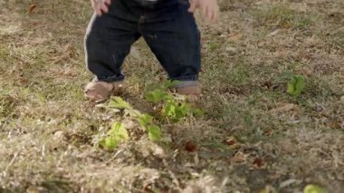 Bebek çimen ve yapraklarla etkileşime girer, merak ve merak gösterirken doğa güzelliği ile dolu açık havada dokular ve renkler keşfeder.