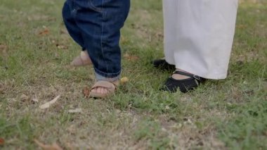 Yavru, yumuşak çimenlerde ilk adımlarını atar. Yetişkinler nazikçe yol gösterir. Bu değerli anda yeni hareketin heyecanını ve destek bağını vurgular.