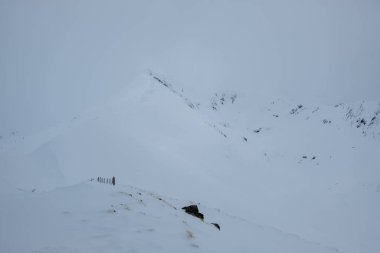 Bulutlu bir gökyüzünün altında karla kaplı dağ manzarası, belirgin bir tepe, kayalar ve kısmen gömülü ahşap direkler ön planda.