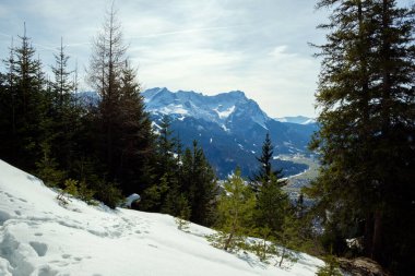Garmisch-Partenkirchen 'deki karlı bir ormanda, yüksek dağlar çarpıcı bir zemin oluşturur. Serin kış havası, doğa berrak bir gökyüzü altında dinlenirken sükunetle doludur..