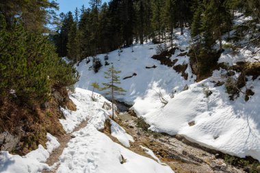 Bavyera, Garmisch-Partenkirchen 'de karla kaplı bir arazide huzurlu bir kış yürüyüşü patikası esiyor. Çam ağaçları ve küçük bir dere bölgenin huzurlu güzelliğini arttırır..