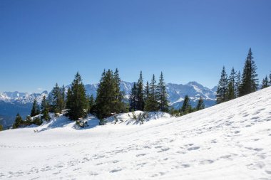 Parlak bir kış günü Bavyera 'daki Garmisch-Partenkirchen' in büyüleyici karla kaplı manzarasını sergiliyor. Arkadaki görkemli dağlarla el değmemiş beyaz karın arasında çam ağaçları duruyor..