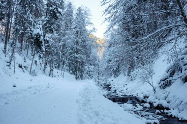 Kar, Tagernsee, Bavyera 'yı kaplayarak sakin bir kış ortamı yaratır. Uzun ağaçlar yol boyunca uzanır, karlı arazide yumuşak bir dere akar, doğanın güzelliğini gözler önüne serer..