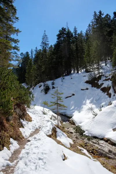 Kar, Garmisch-Partenkirchen 'in zeminini sarar. Yoğun yeşil ağaçların arasından geçen dolambaçlı bir yol. Sakin bir dere karlı arazinin altından akar ve güzel bir kış ortamı yaratır..