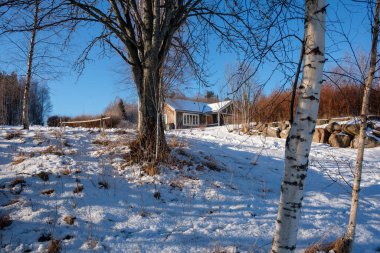 Vastanvik, Dalarna 'da sakin bir kış günü karla kaplı bir manzaraya sahiptir. Sıcak, ahşap bir ev huş ağaçlarının arasına yerleşmiş, karlı çevrenin huzurlu güzelliğini yansıtıyor..