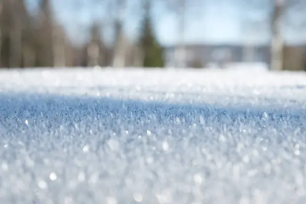 Hassas kar taneleri, güneş ışığını yansıtan Vastanvik, Dalarna, İsveç 'teki zemini örtüyor. Bu sakin kış ayarı, sessiz ve karlı bir arazide doğanın güzelliğini gözler önüne seriyor..