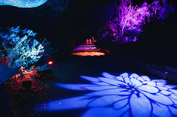 Noviembre 2022 Encinitas California San Diego Botanic Garden Espectáculo Luces — Foto de Stock