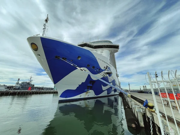 Listopada 2022 San Diego Kalifornia Księżniczka Cruise Ship Zadokował San — Zdjęcie stockowe