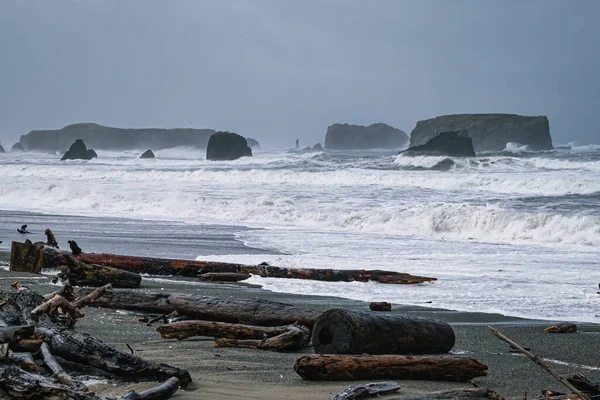 Lots Driftwood Oregon Beach Heavy Storm Surge — Photo
