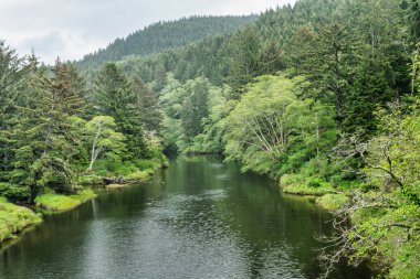 Yachat Nehri, Orta Kore Sahili..