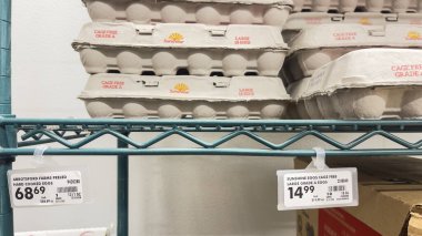27 Şubat 2025, Coos Bay, Oregon, ABD. Süpermarkette yumurta kartonlarının fiyatları çok yüksek.