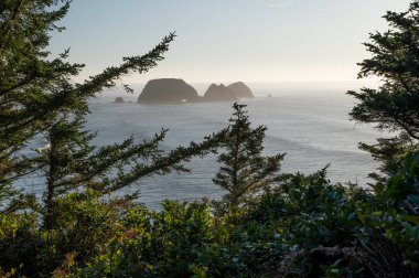 Cape Meares 'deki Arch Rock, Oregon Sahili. 
