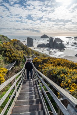Okyanusa doğru yürüyen bir turist Bandon, Oregon plajına çıkıyor..
