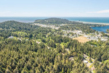 OREGON Kıyı Port Orford 'un hava fotoğrafı. Uzakta ve yerleşim yerlerinde okyanus olan yeşil orman.. 