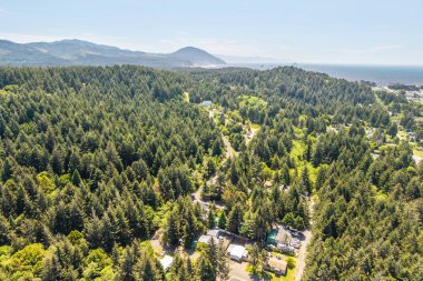 OREGON Kıyı Port Orford 'un hava fotoğrafı. Uzakta ve yerleşim yerlerinde okyanus olan yeşil orman.. 