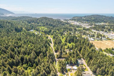 OREGON Kıyı Port Orford 'un hava fotoğrafı. Uzakta ve yerleşim yerlerinde okyanus olan yeşil orman.. 