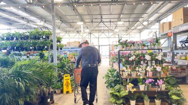 1 Haziran 2025, Roseburg, Oregon, ABD. Home Depot 'ta alışveriş yapan erkek, Garden Center' daki bitkilere bakıyor.