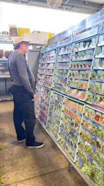 1 Haziran 2025, Roseburg, Oregon, ABD. Home Depot 'ta erkek alışverişçi, ekmek için tohumlara bakıyor.