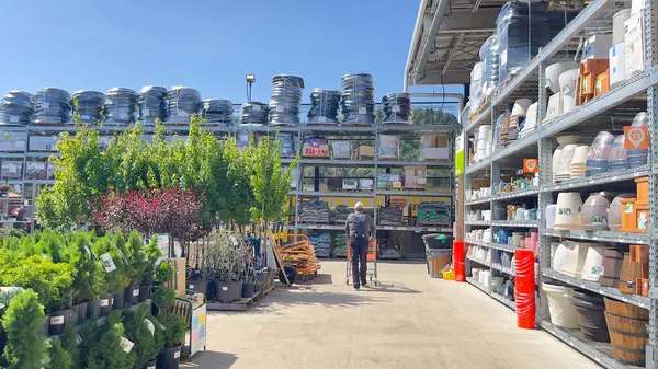 1 Mayıs 2025, Roseburg, Oregon, ABD. Home Depot 'ta alışveriş yapan erkek, Garden Center' daki bitkilere bakıyor.