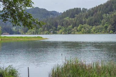 Güney Oregon, ABD 'deki Loon Gölü Oregon yolcuları için popüler bir yaz turistik beldesi. Drone fotoğrafı. 