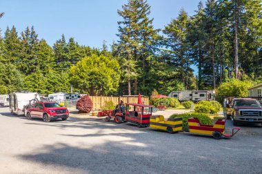 4 Haziran 2025, Port Orford, Oregon. Bandon Limanı Orford KOA karavan parkı. Güzel bir ormanda ağaçların altına park edilmiş eğlence araçları.. 