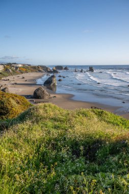 Bandon Beach, Bandon Oregon, ABD 'de kaya oluşumları ve deniz yığınları. 