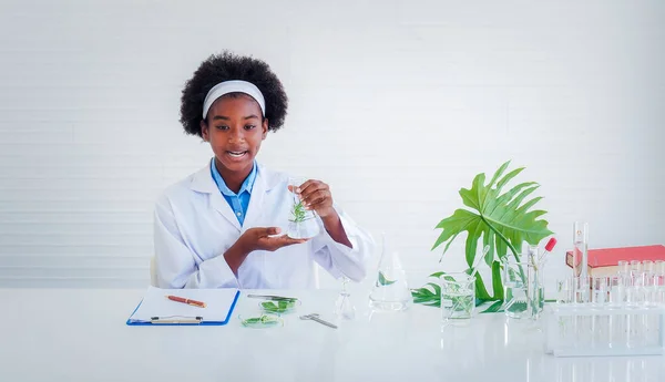 A dark-skinned student holding a glass flask containing a piece of the plant inside and surprise at the results in the glass. Science and education, researcher and discovery concept.